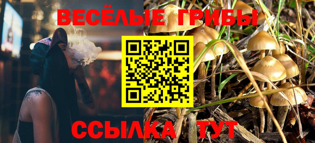 Галлюциногенные грибы Psilocybine cubensis Анжеро-Судженск