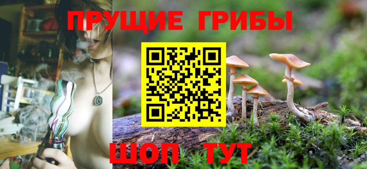 Галлюциногенные грибы Magic Shrooms  Вход с VPN  Анжеро-Судженск 